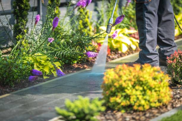 Best Winterizing Services  in Mount Plymouth, FL