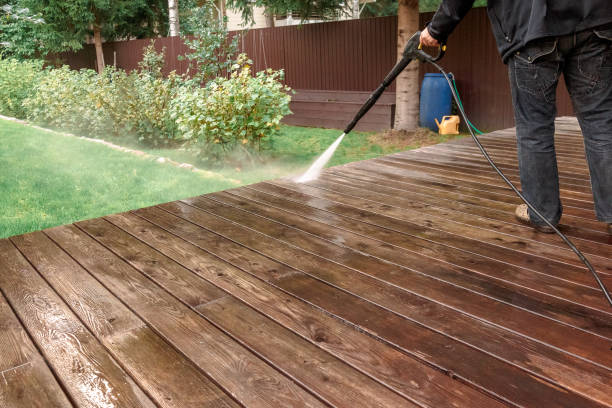 Best Animal Enclosure Cleaning  in Mount Plymouth, FL