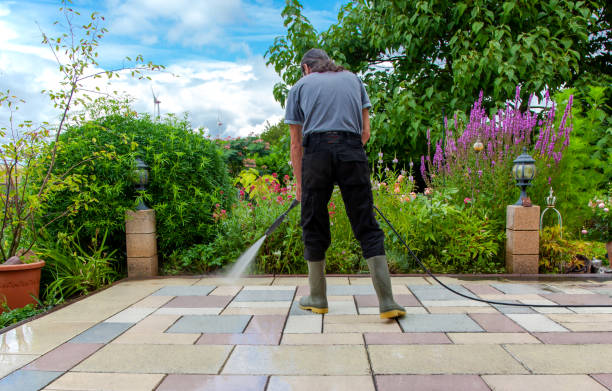 Best Animal Enclosure Cleaning  in Mount Plymouth, FL