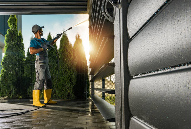 Solar Panel Cleaning in Mount Plymouth, FL
