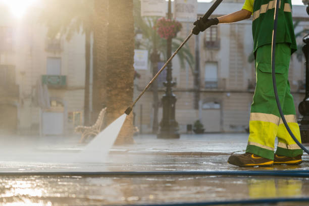 Best Roof Washing  in Mount Plymouth, FL